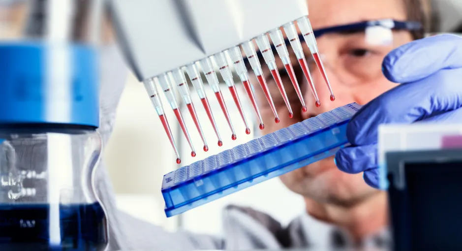 Laboratory researcher using a multichannel pipette over a microplate