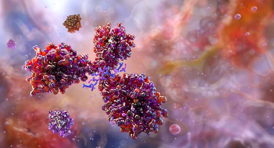 Illustration of an antibody binding to a target molecule